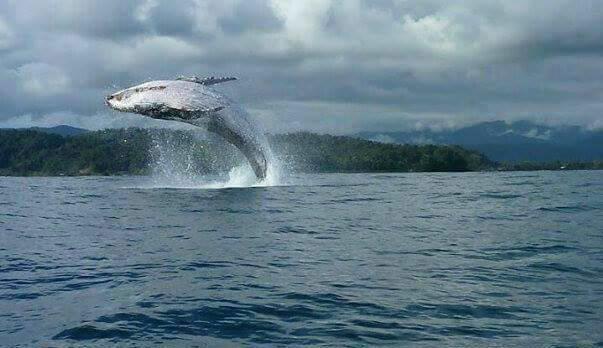 Posada El Acuario บาเยีย โซลาโฯ ภายนอก รูปภาพ