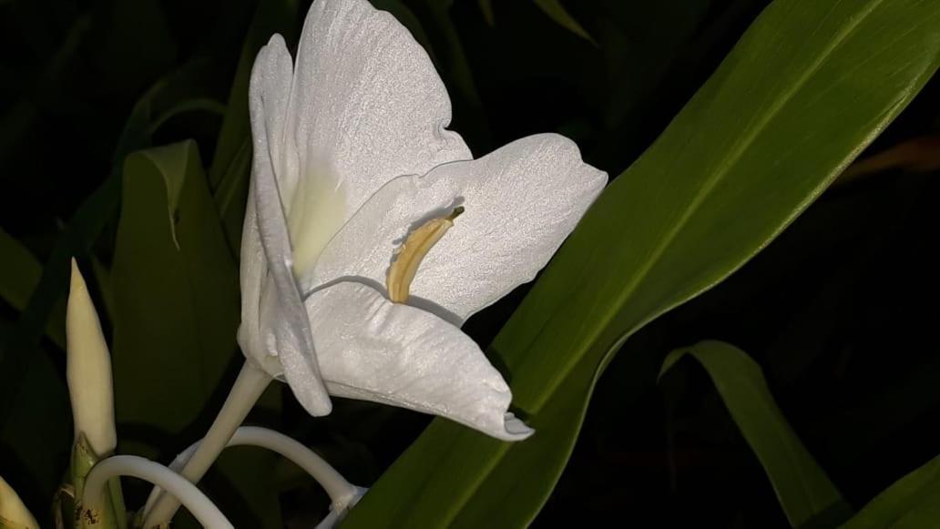 Posada El Acuario บาเยีย โซลาโฯ ภายนอก รูปภาพ