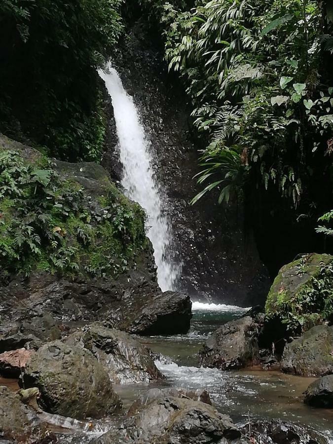 Posada El Acuario บาเยีย โซลาโฯ ภายนอก รูปภาพ