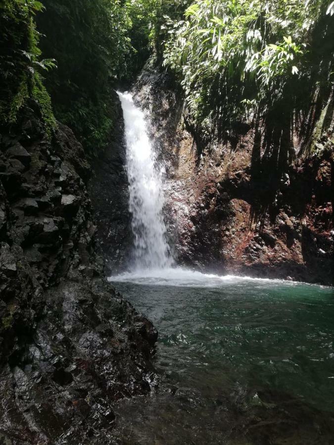Posada El Acuario บาเยีย โซลาโฯ ภายนอก รูปภาพ