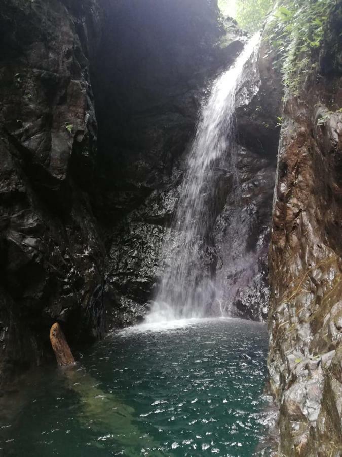 Posada El Acuario บาเยีย โซลาโฯ ภายนอก รูปภาพ